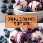 Blueberry Swirl Yogurt Bites Recipe