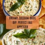 Zucchini Dip Recipe