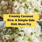 How to Make My Favorite Coconut RiceIngredients Recipe