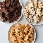Homemade Teddy Grahams Recipe