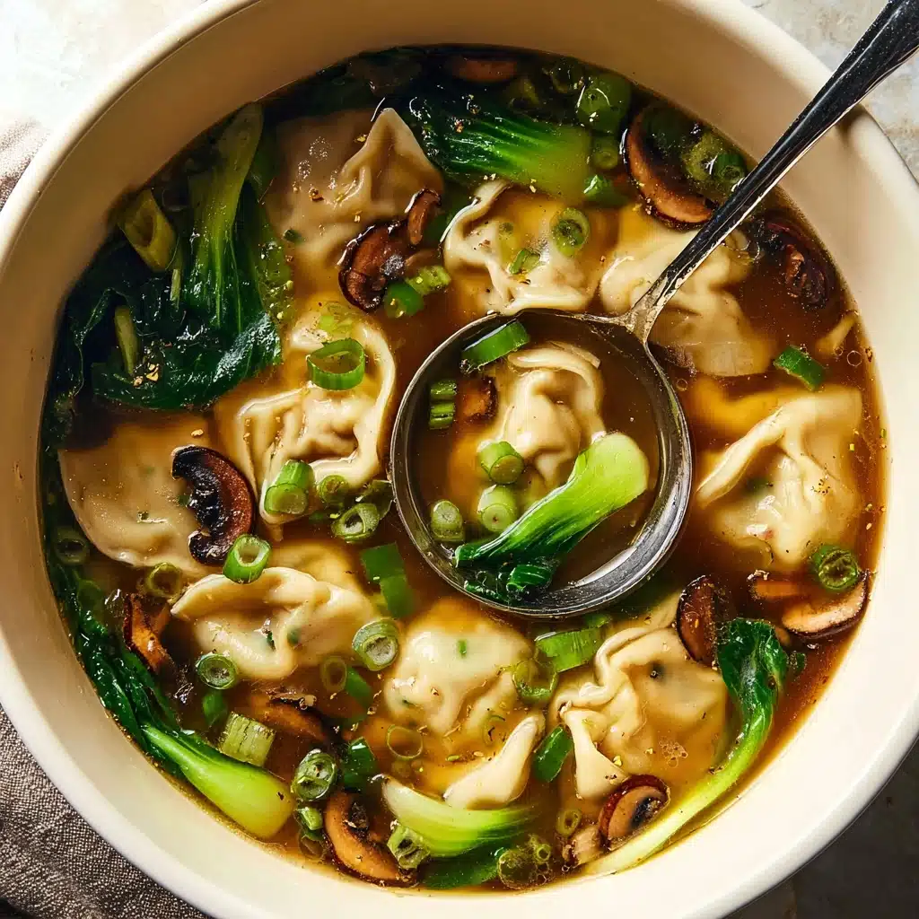 Potsticker Soup Recipe