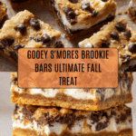 S'mores Brookies Recipe
