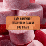Strawberry Banana Bites for Dogs Recipe