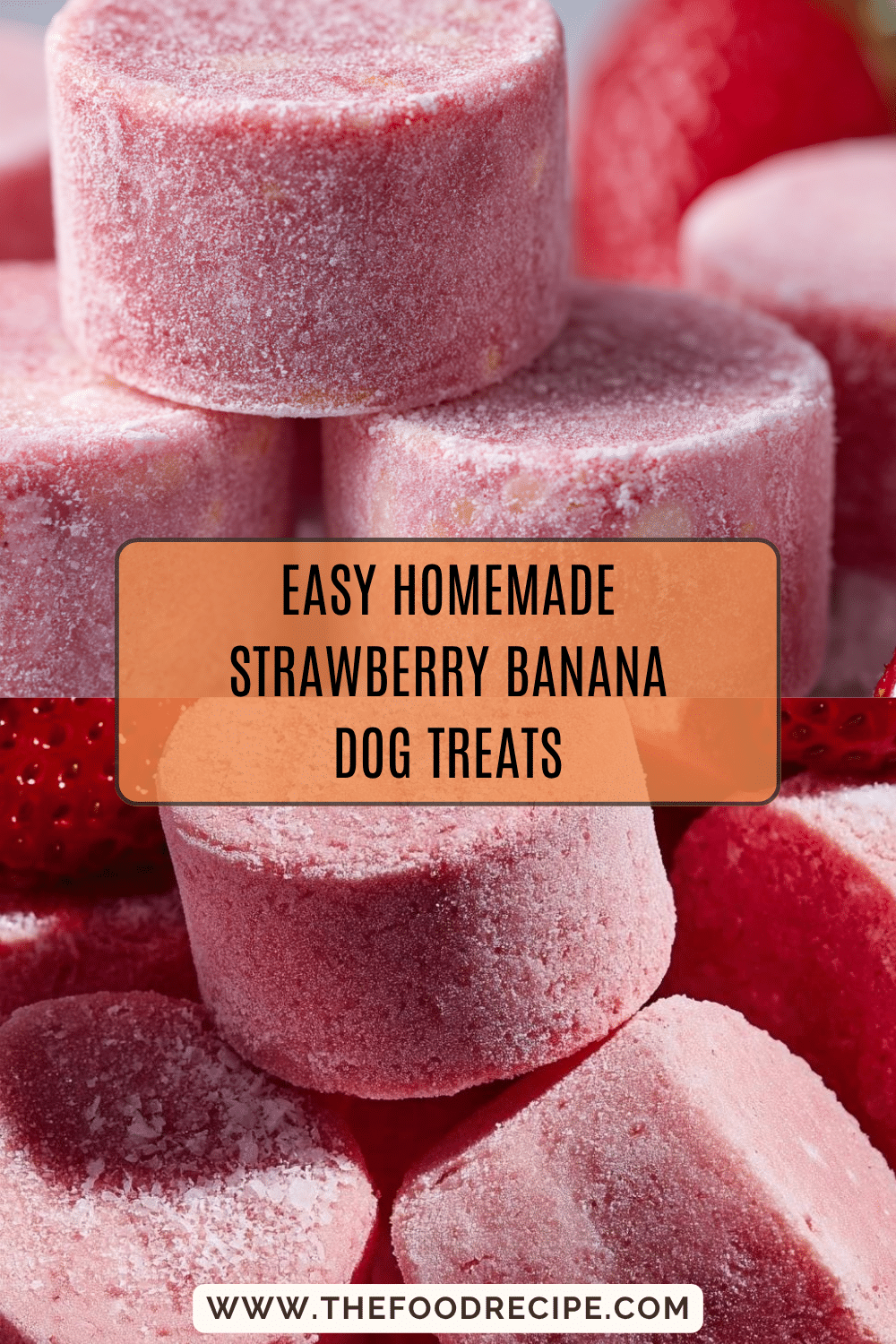 Beautiful view of Does Dog Metabolize Dried Strawberry Supplements
