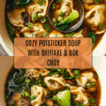 Potsticker Soup Recipe