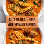 Meatball Soup Recipe