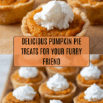 Pumpkin Pie for Dogs Recipe