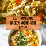 Best Chicken Noodle Soup with Egg Noodles Recipe