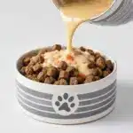 Homemade Dog Gravy Recipe