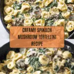 Creamy Spinach Mushroom Tortellini Recipe