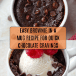 Brownie in a Mug Recipe