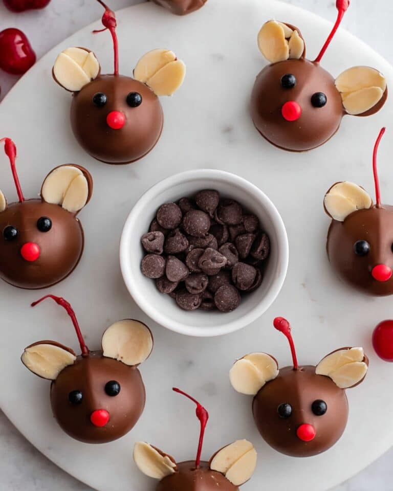Chocolate Cherry Mice Recipe