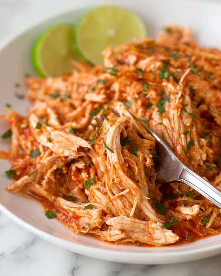 Crockpot Salsa Chicken Recipe