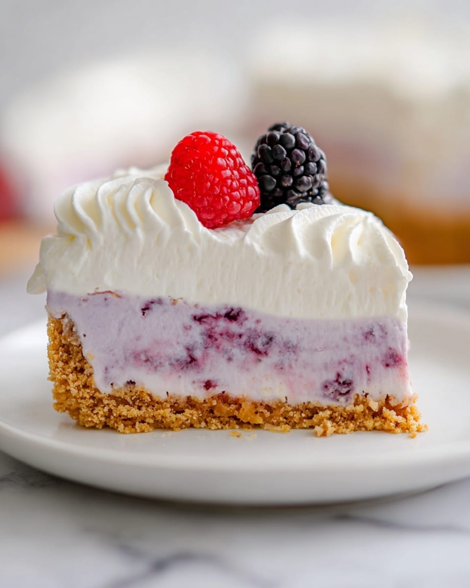 The image shows a slice of cheesecake on a white plate, placed on a white marbled surface. It has three layers: the bottom layer is a crumbly, golden brown crust with a rough texture; the middle layer is a creamy, light purple cheesecake mixed with small darker berry pieces, looking smooth and soft; the top layer is white whipped cream, thick and fluffy, with a swirl pattern. On top of the whipped cream, there is a bright red raspberry and a dark purple blackberry, adding vibrant color and texture contrast. Photo taken with an iphone --ar 4:5 --v 7