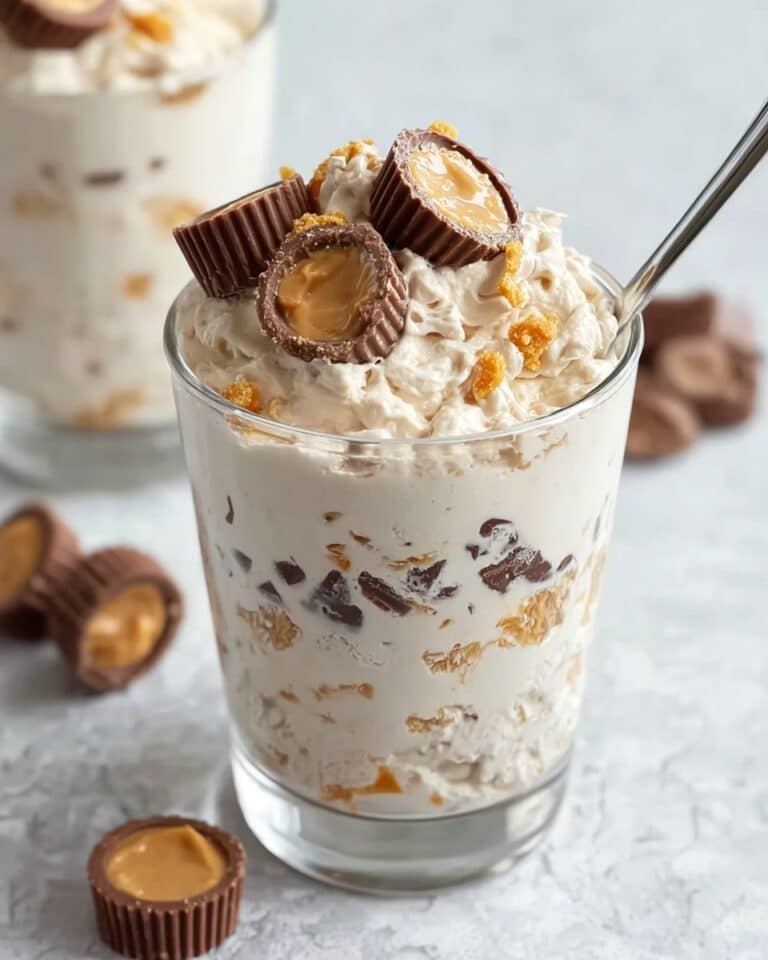 Healthy & Easy Ninja Creami Blizzard Dream Recipe